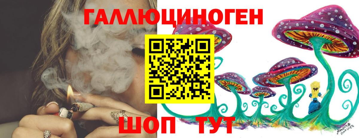 Псилоцибиновые грибы Psilocybine cubensis  Псилоцибиновые грибы прущие грибы  Вход с VPN  Ачинск 